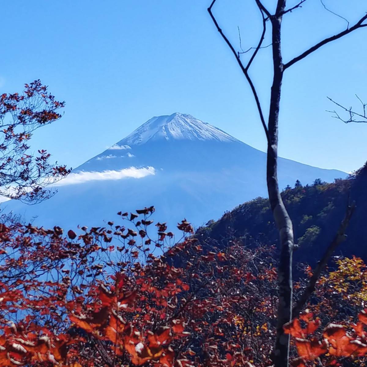 20231022 御坂山・黒岳