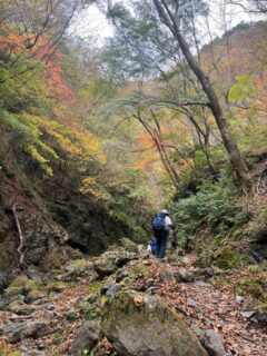 20231112　川苔山