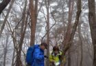 伊予が岳・富山