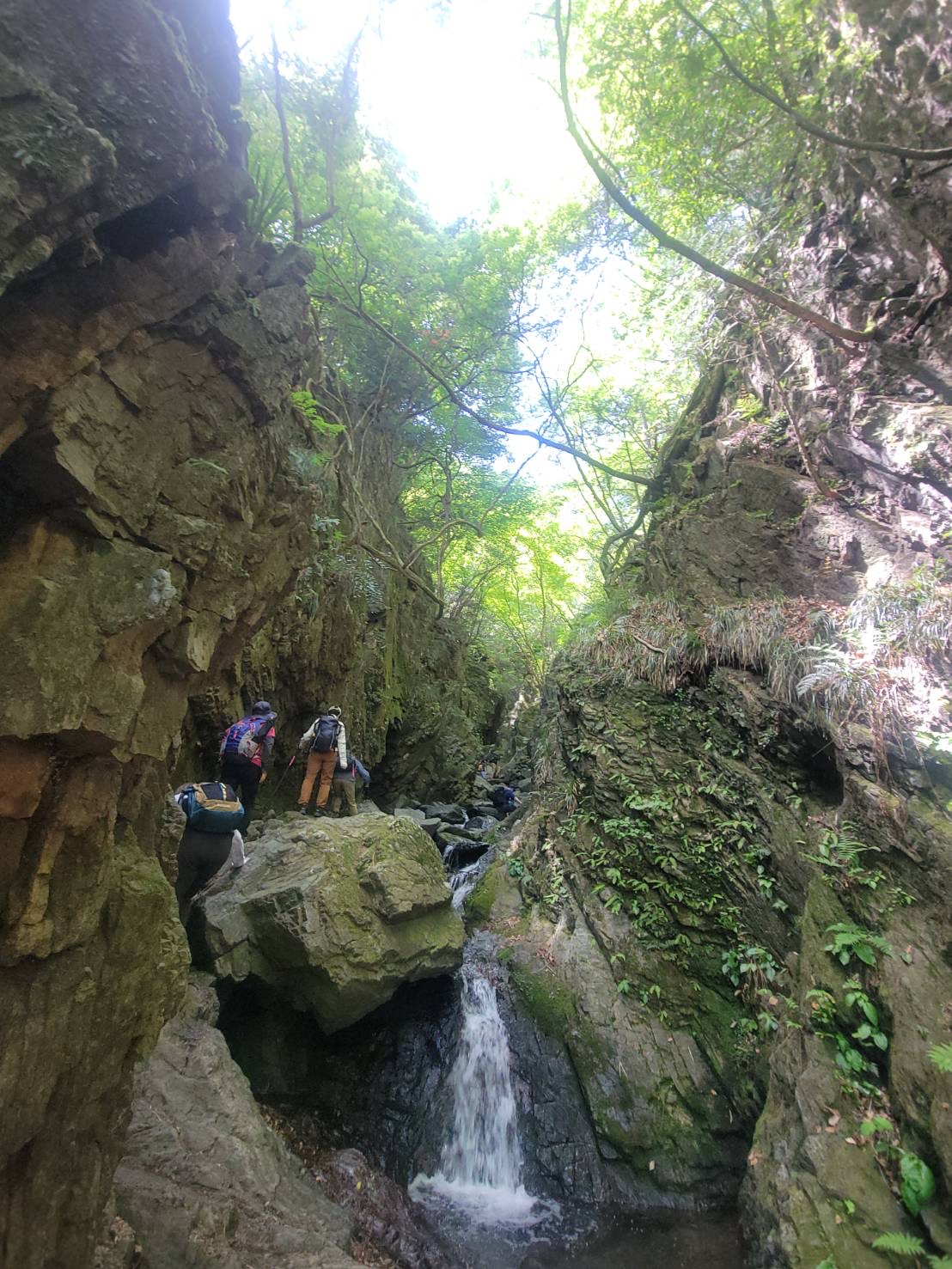 20240511 棒の折山　写真