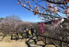 高取山・仏果山