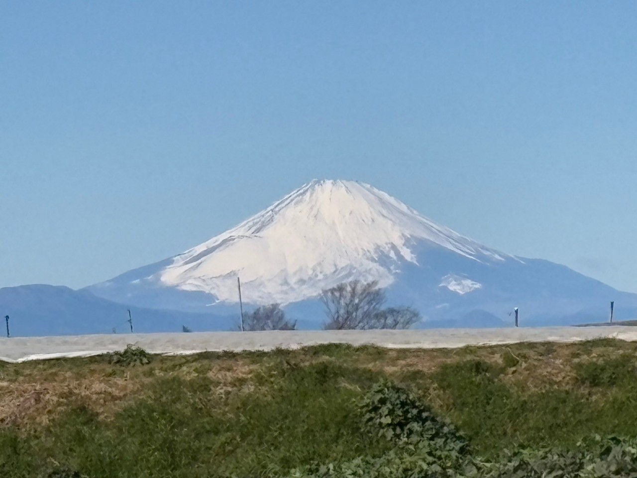 三浦富士（183ｍ）